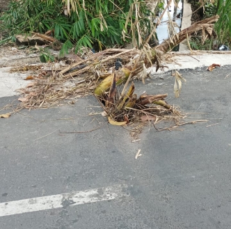 
 Nampak ruas jalan Lendang Gocek - Pengenjek Desa Pagutan, Kecamatan Batukliang, Lombok Tengah kembali rusak.